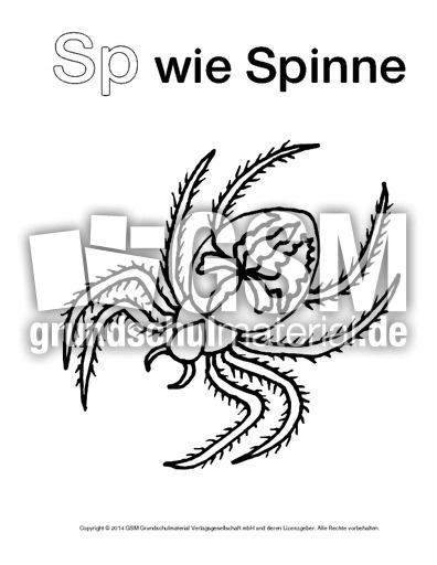 Sp-wie-Spinne-1.pdf